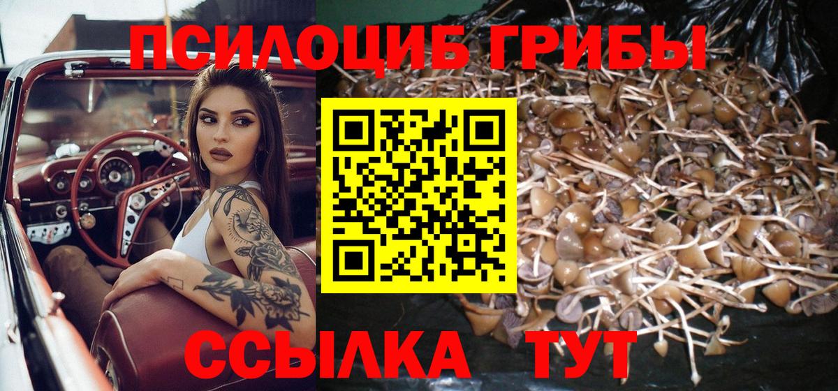 Псилоцибиновые грибы MAGIC MUSHROOMS Мурманск