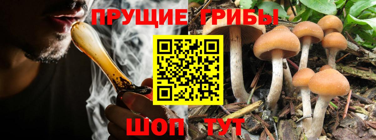 Галлюциногенные грибы Psilocybe  Галлюциногенные грибы мухоморы  Вход с VPN  Мурманск 